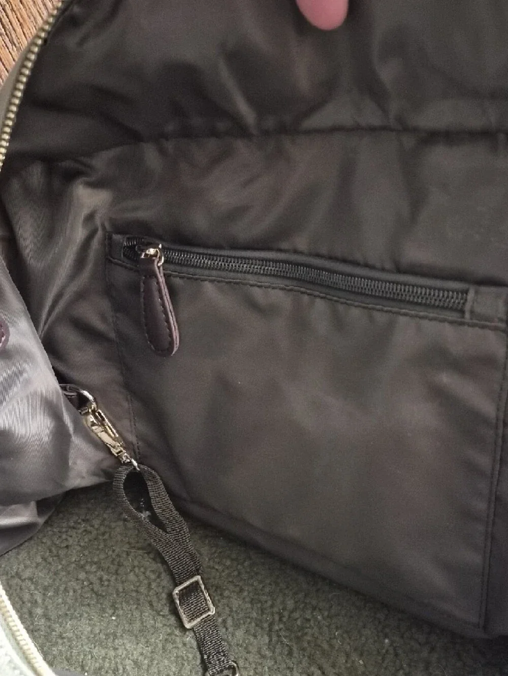 Django Olive Canvas Dog Carrier with Dark Brown Trim